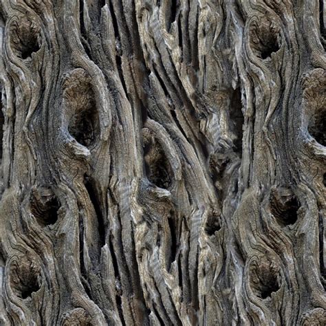 Tree Bark Patterns