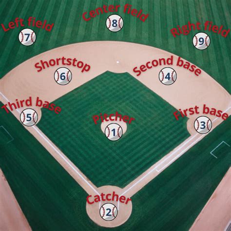 The 9 baseball positions (with numbers) and their roles