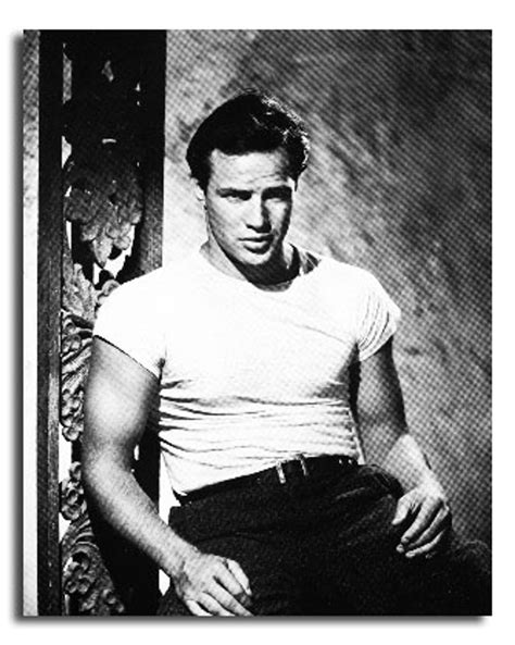 (SS3565770) Movie picture of Marlon Brando buy celebrity photos and posters at Starstills.com