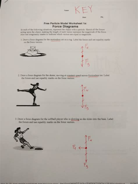 Force Diagram Worksheet With Answers