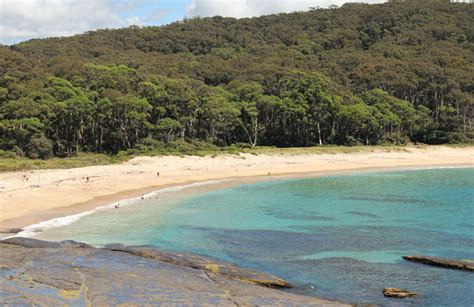 Best South Coast NSW campgrounds | NSW National Parks