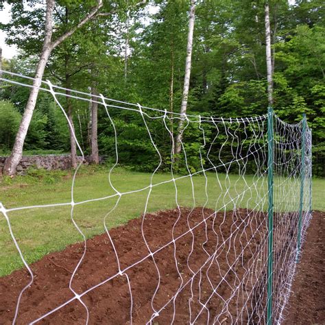 3280ft (1000m) x 6.5ft Trellis Plant Support Outdoor Netting Vine Stems Protect – EconoSuperStore