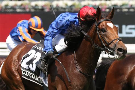 Godolphin's record in the Melbourne Cup | Sports News Australia