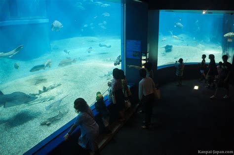 Kaiyukan Aquarium - Osaka's Vertical Tank and Whale Shark