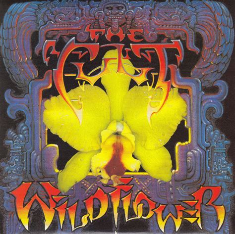 The Cult – Wild Flower – 2 x Vinyl (Gatefold, 7", 45 RPM, Single), 1987 ...