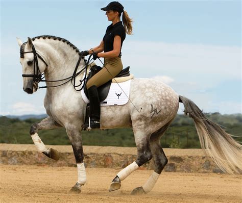 forests-in-neverland:lu-dressage: Guardadamas Ridiculous This horse is ridiculous Horse Dressage ...