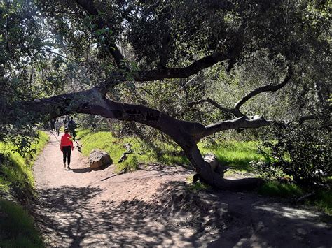 Discover the History, Mystery, Magnificence of Borrego Canyon - Irvine ...