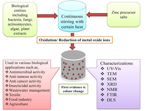 Flowchart represents the green synthesis of zinc oxide nanoparticles,... | Download Scientific ...