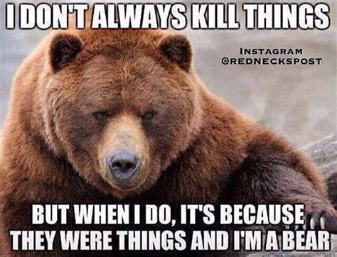 Pin by Clay Hall on Hunting Humor | Funny bears, Bear, Funny animal pictures