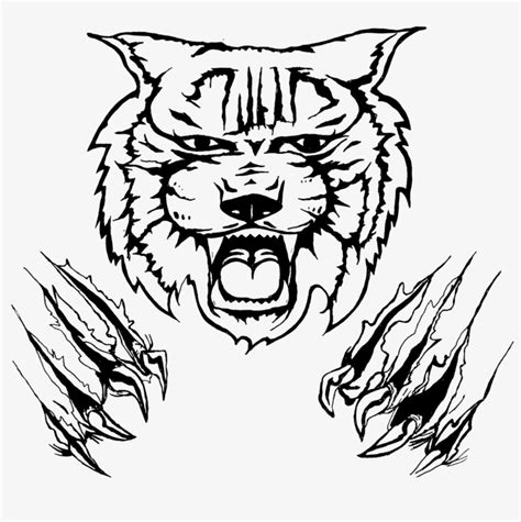 Kentucky Wildcats Football Logo Clip Art - Wildcat Drawing PNG Image ...