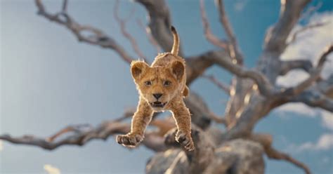 'Mufasa: The Lion King' Trailer Shows Journey Of Simba's Father ...