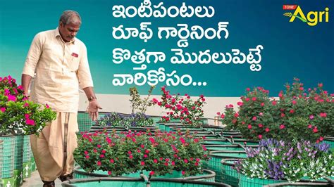 Terrace Gardening for Beginners | Roof top Garden Ideas in Telugu ...