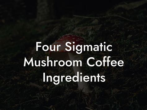 Four Sigmatic Mushroom Coffee Ingredients - Mr Mushroom