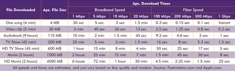 How Fast Is Fiber? | Socket Telecom