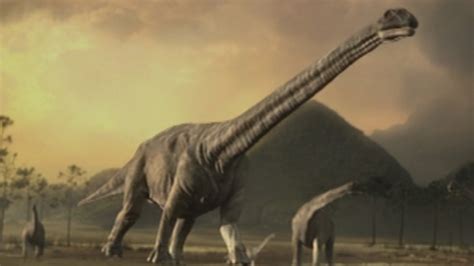 Argentinosaurus | Planet Dinosaur Wiki | FANDOM powered by Wikia