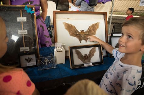 Museum Reach's Bat Colony Takes Center Stage at Bat Loco Bash