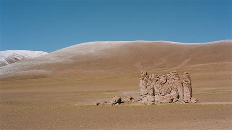 What Survives in the Atacama Desert? - The New York Times