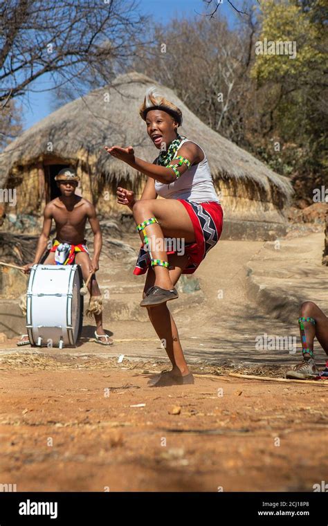 Zulu dancers in traditional costume, dancing the Ingoma warrior dance. Creda Mutwa village ...