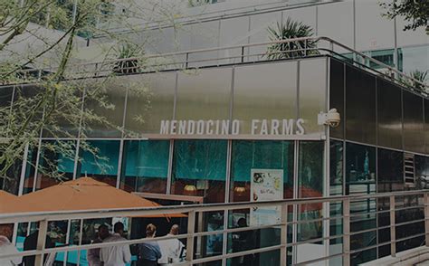 California Locations - Mendocino Farms | Farm Fresh Dining