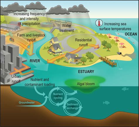 Chapter 6: Water-Related Illness | Climate and Health Assessment