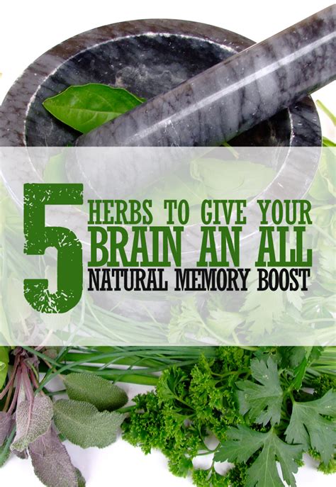 Herbal Remedies To Achieve Optimal Daily Performance | Herbalism, Memory boosting foods, Memory ...