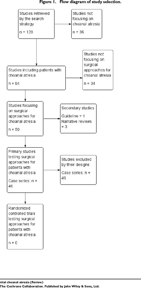 Figure 1 from Surgery for congenital choanal atresia. | Semantic Scholar