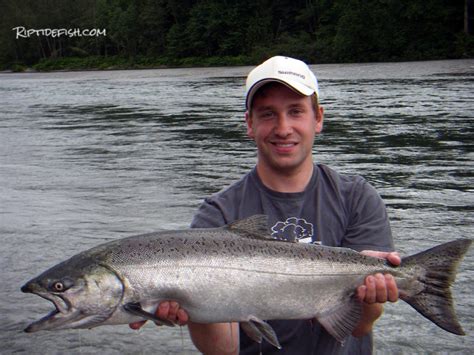 16 of the Best Skykomish River Fishing Spots