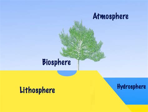 ¿Qué es la biosfera?