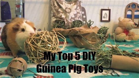 Homemade Guinea Pig Chew Toys | Wow Blog