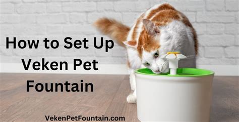 How to Set Up Veken Pet Fountain? Step-by-Step Guide 2024