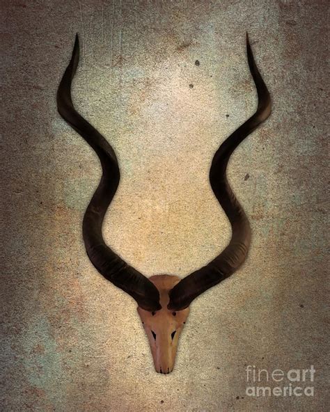 Twisted Horns 1 Digital Art by Chantal Bastien | Fine Art America