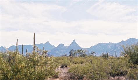 El desierto de Altar, Sonora | My favorite places: México | Pinterest