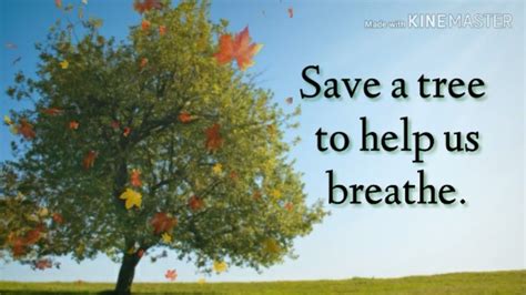 AllaboutLearningByGagzCreations: 10 Slogans on SAVE TREES in English