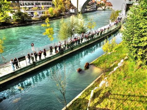 Bear Park - Picture of Barenpark, Bern - TripAdvisor