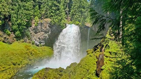 McKenzie River Waterfalls Hike - Pacific Northwest Explorer