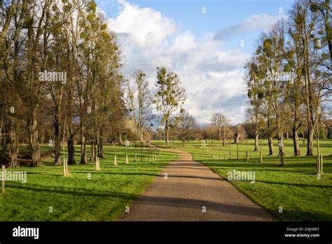 Hatfield park united kingdom Hatfield in daylight on a sunny day Stock Photo - Alamy