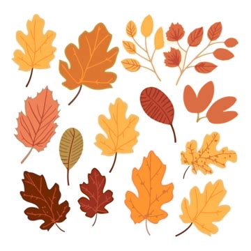 Cute Fall Leaves Clipart Images | Free Download | PNG Transparent Background - Pngtree