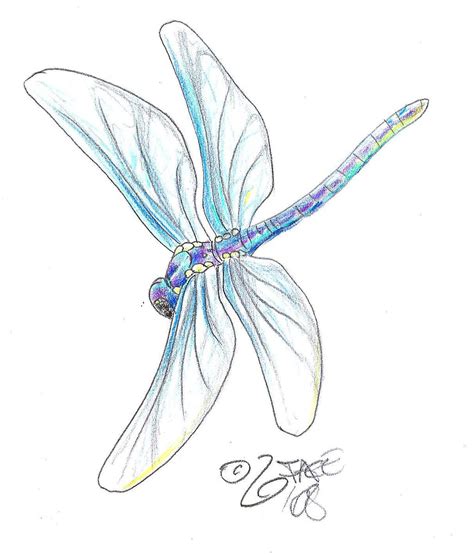 Dragonfly Tattoo Design by 2Face-Tattoo on DeviantArt