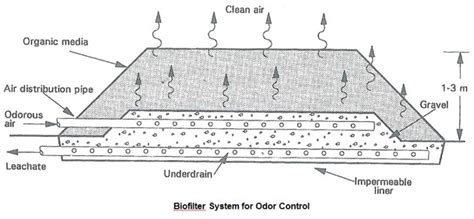 Building a Biofilter | Pumper