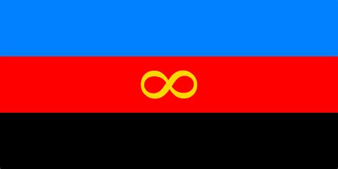 Do you hate the poly pride flag? Here's why it is how it is. : r/polyamory