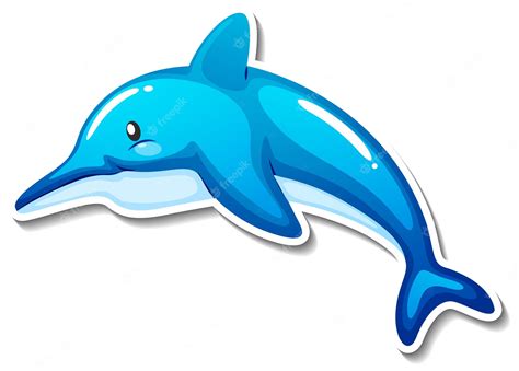 dolphin - Clip Art Library