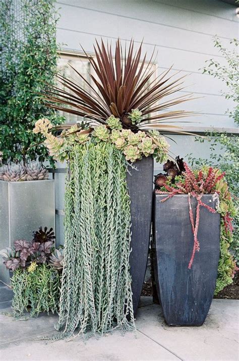 Tall Succulent Planter Ideas — Freshouz Home & Architecture Decor | Succulent garden design ...