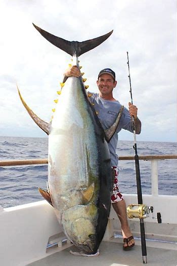 Yellowfin tuna caught off Mexico could be world-record size - Pete ...