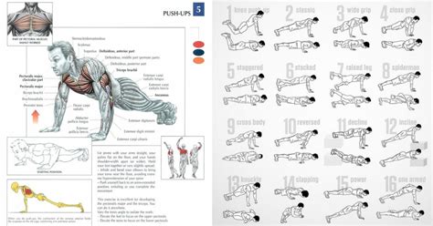 Strong Muscle Defining Push Up Workout With 5 Exercises - GymGuider.com