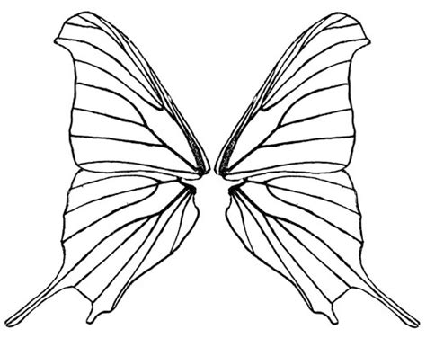 Free Butterfly Wings Cliparts, Download Free Butterfly Wings Cliparts ...