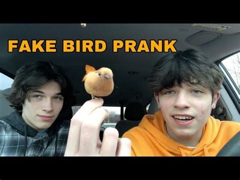 The start of a prank war. - Sturniolo Triplets - YouTube in 2022 ...