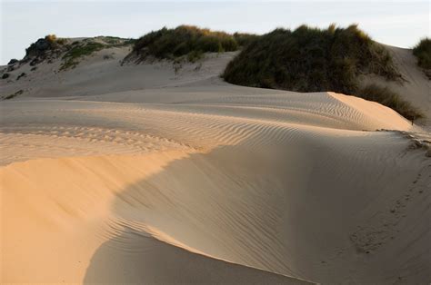 Guadalupe-Nipomo Dunes | Santa Maria Valley