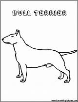 Bull Terrier Coloring Pages Sketch Page sketch template