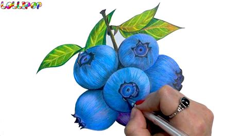 how i draw this Realistic blueberry drawing in colored pencil - YouTube