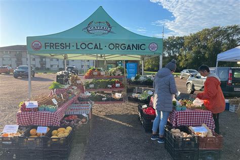 Best Canopy Tent for Farmers Market: A Guide for Vendors